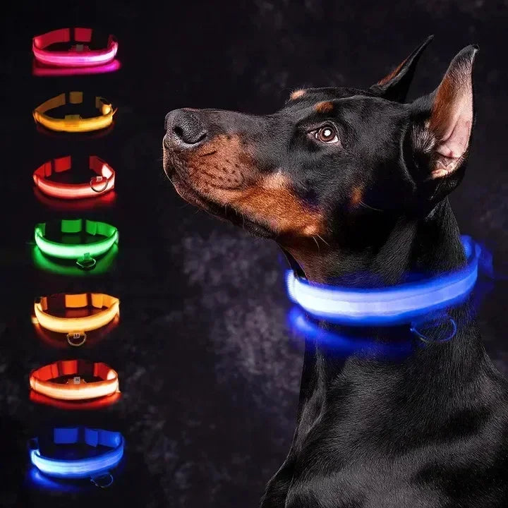 YTYINCN LED Glowing Dog Collar Adjustable Flashing Rechargeable