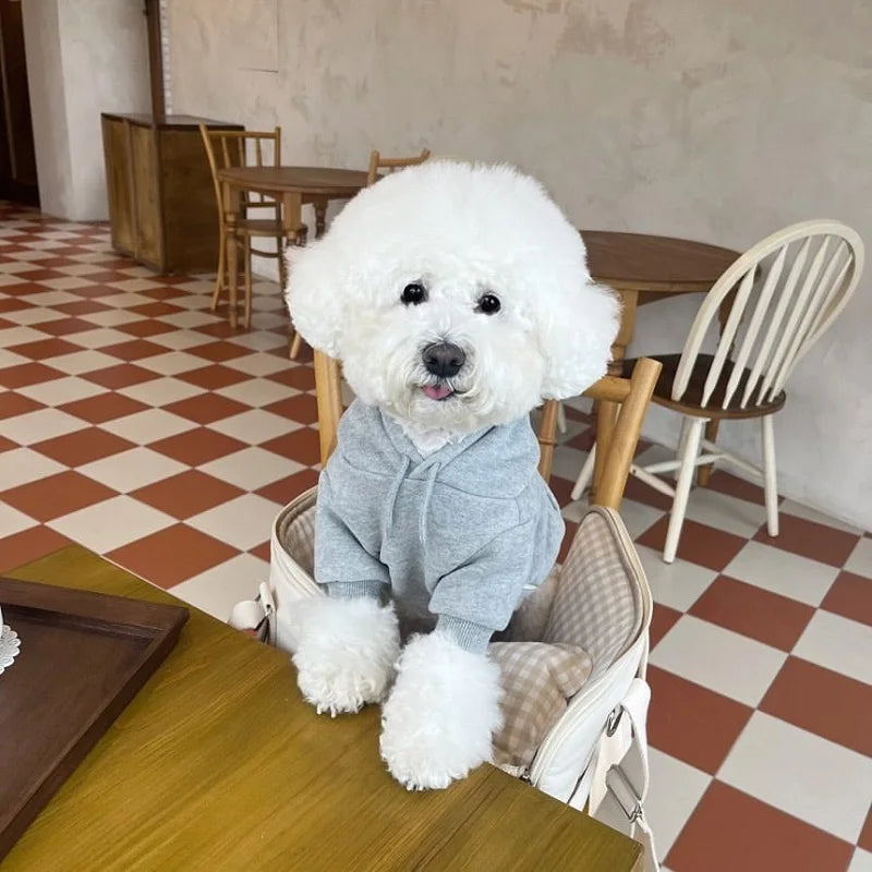 CN Sichuan Zhejiang Winter Hoodie for Dogs Fashion Plush Coat