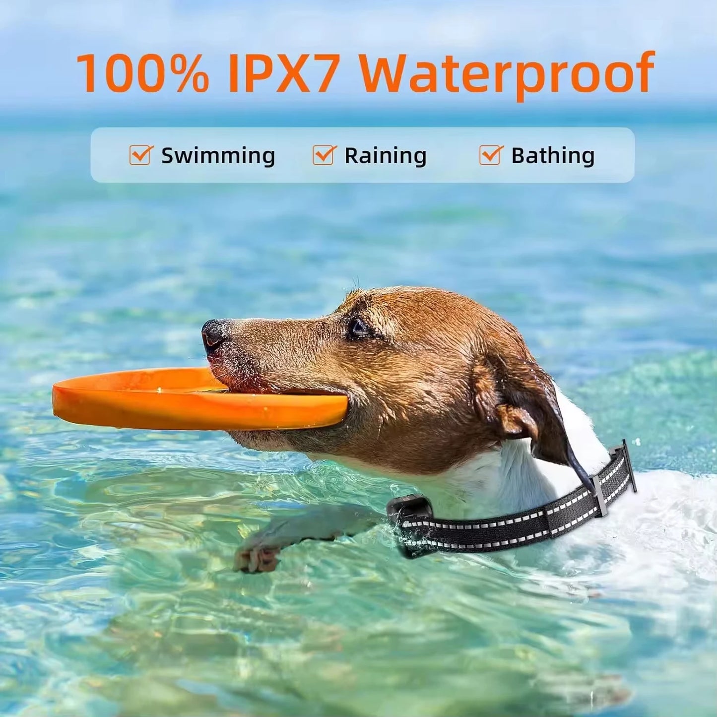 Paipaitek 1000M Dog Training Collar Waterproof Rechargeable Bark Collar