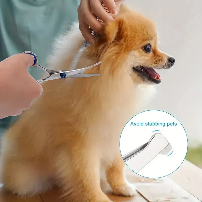 Ambidextrous Pet Safe Stainless Steel Dog Grooming Scissors Round Head