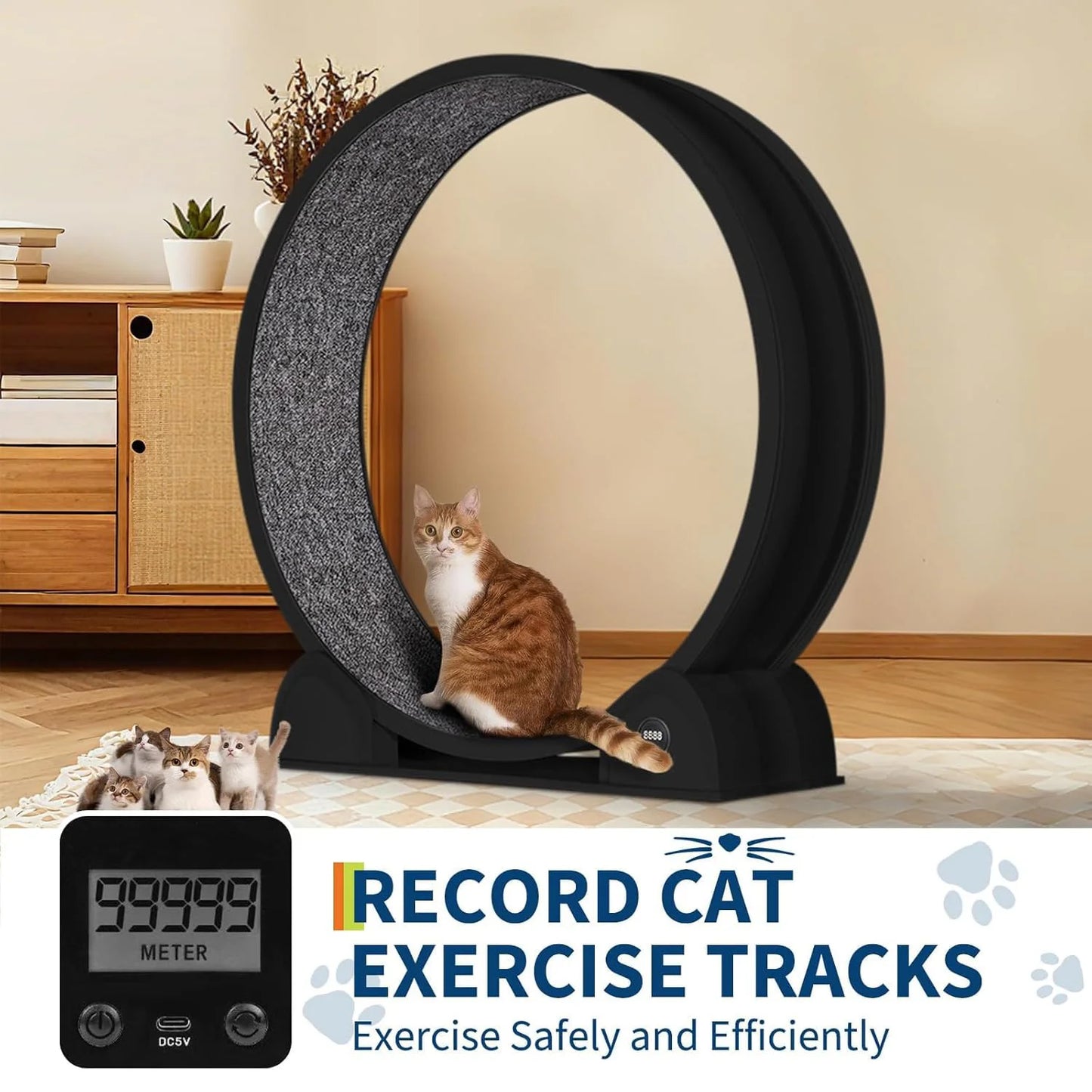 DishyKooker Cat Exercise Wheel With Smart Pedometer For Indoor Running