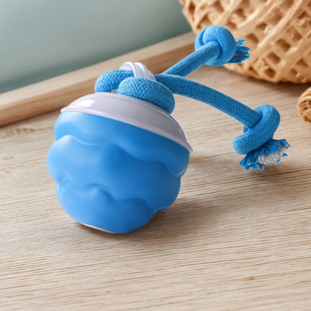 APWIKOGERE Electric Rolling Ball Dog Toy With Rope 3 Modes
