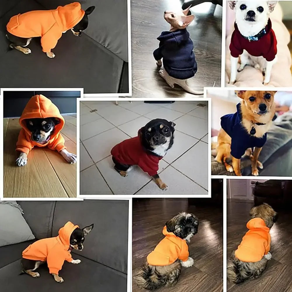 Winter Dog Hoodie Sweatshirt For Dogs Pet Coat Autumn