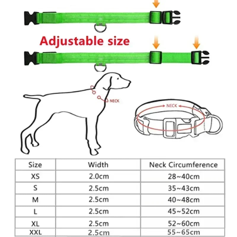 YTYINCN LED Glowing Dog Collar Adjustable Flashing Rechargeable