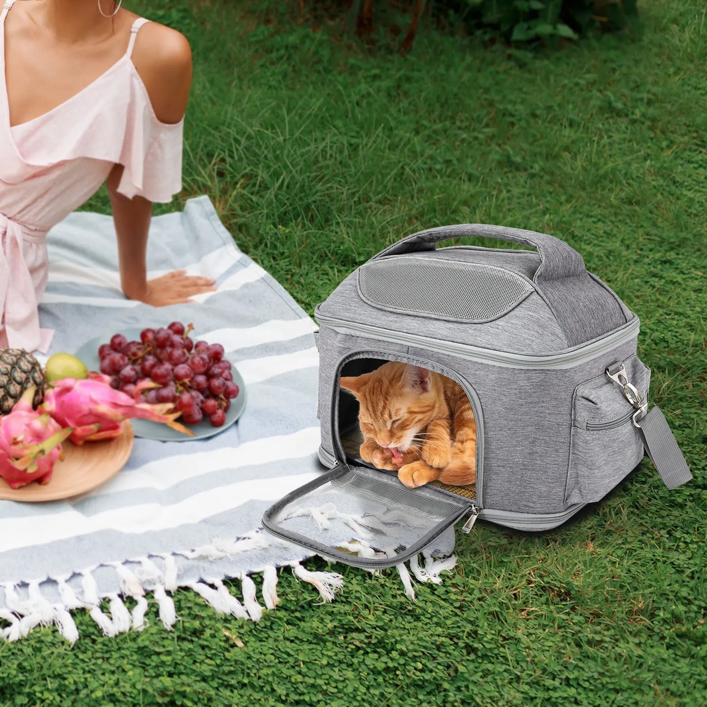 Pet Backpack Breathable Foldable Tote Bag For Dogs And Cats