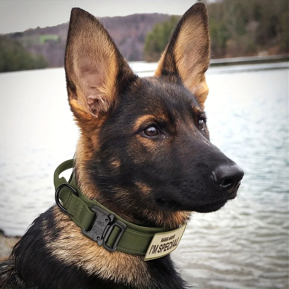 Heavy Duty Tactical Dog Collar With Handle Nylon Training