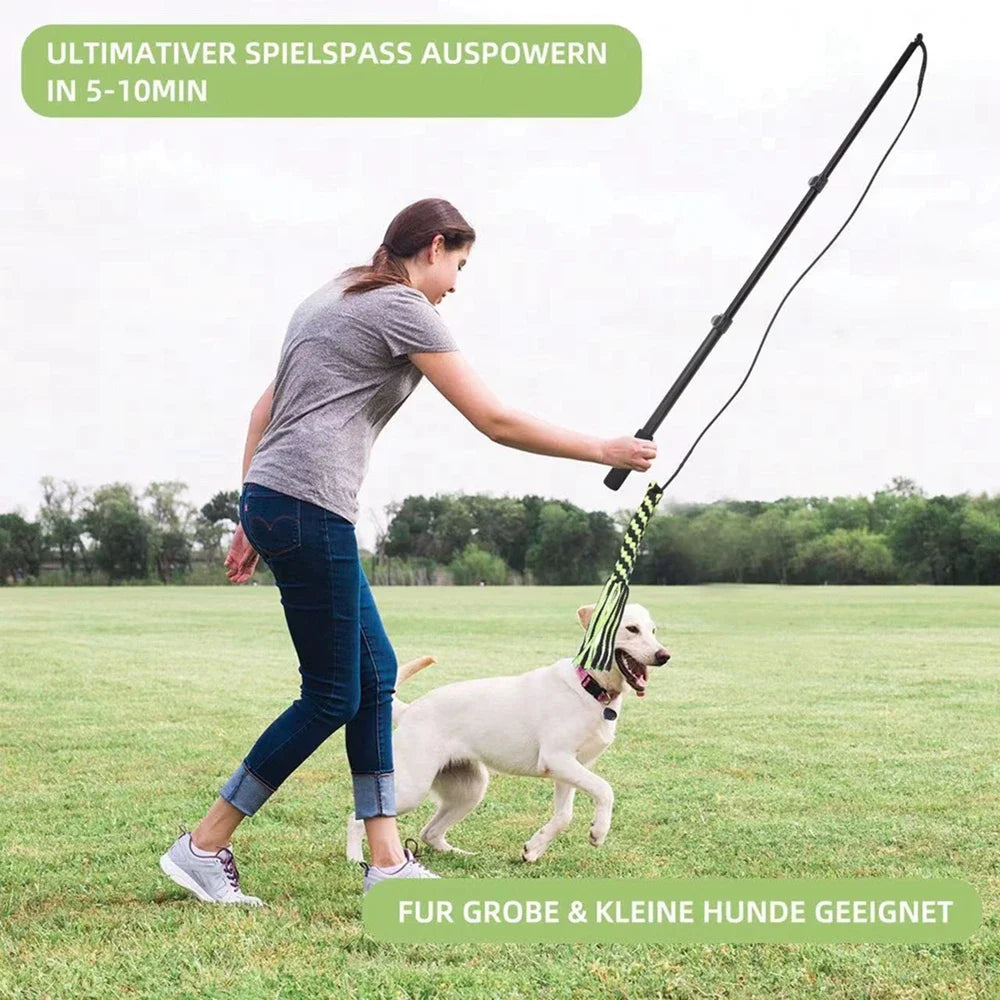 Interactive Dog Toy Extendable Flirt Pole For Dogs Outdoor Training