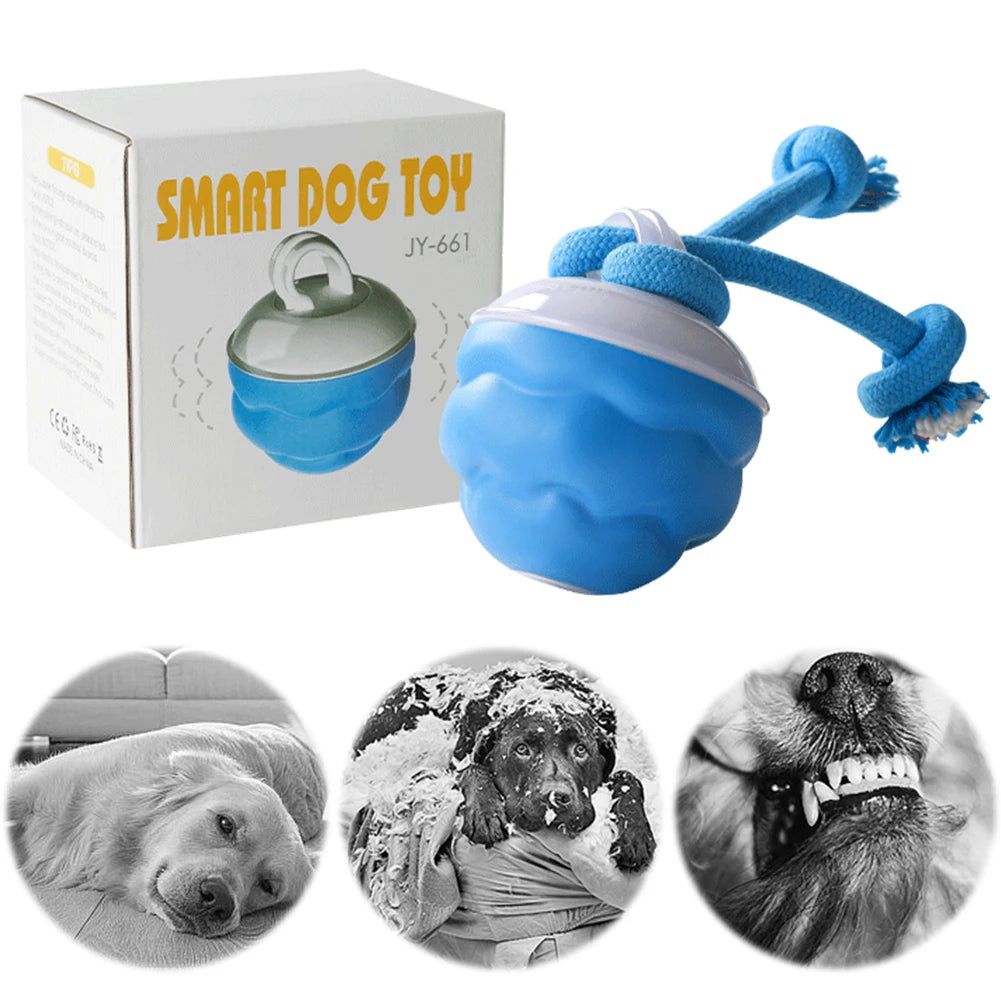 Electric Interactive Rolling Ball Dog Toy USB Rechargeable