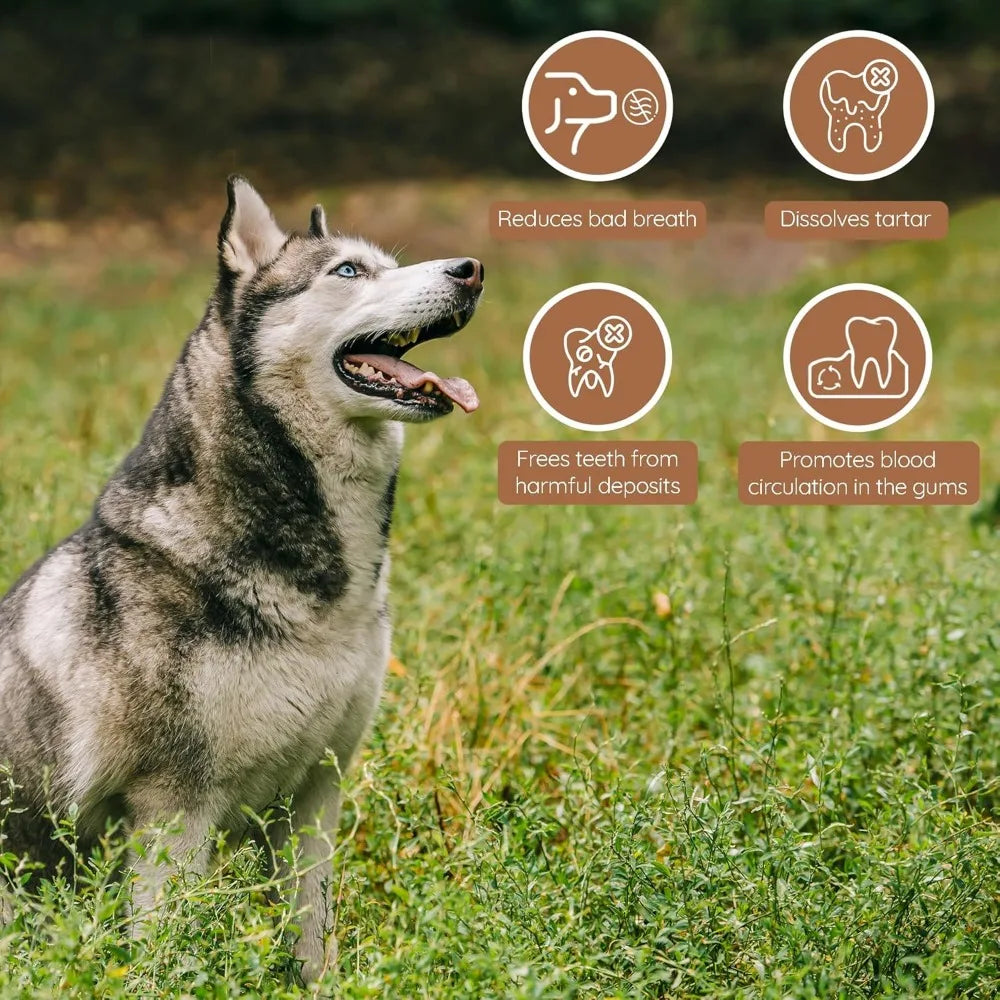 Olive Wood Chewing Sticks for Aggressive Chewers Training Toy