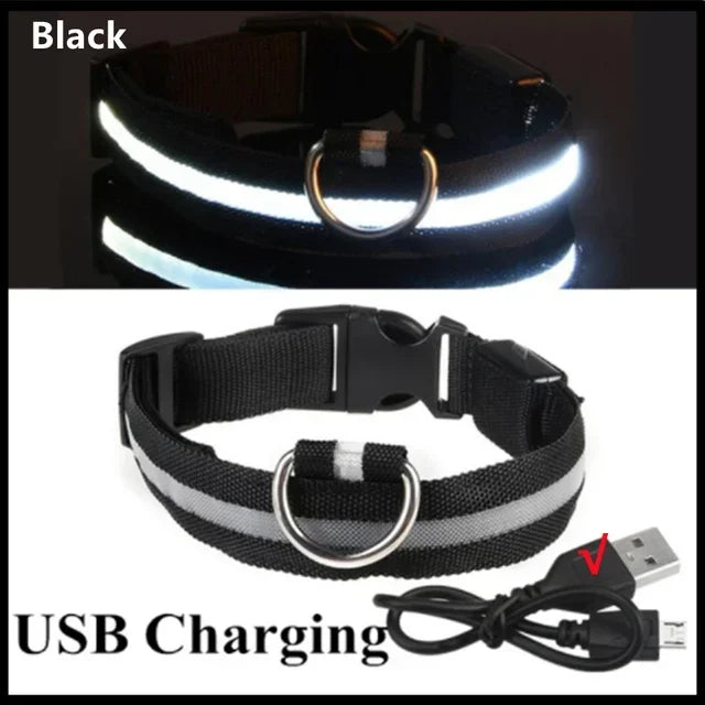 YTYINCN LED Glowing Dog Collar Adjustable Flashing Rechargeable