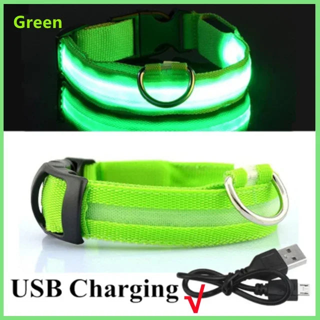 YTYINCN LED Glowing Dog Collar Adjustable Flashing Rechargeable