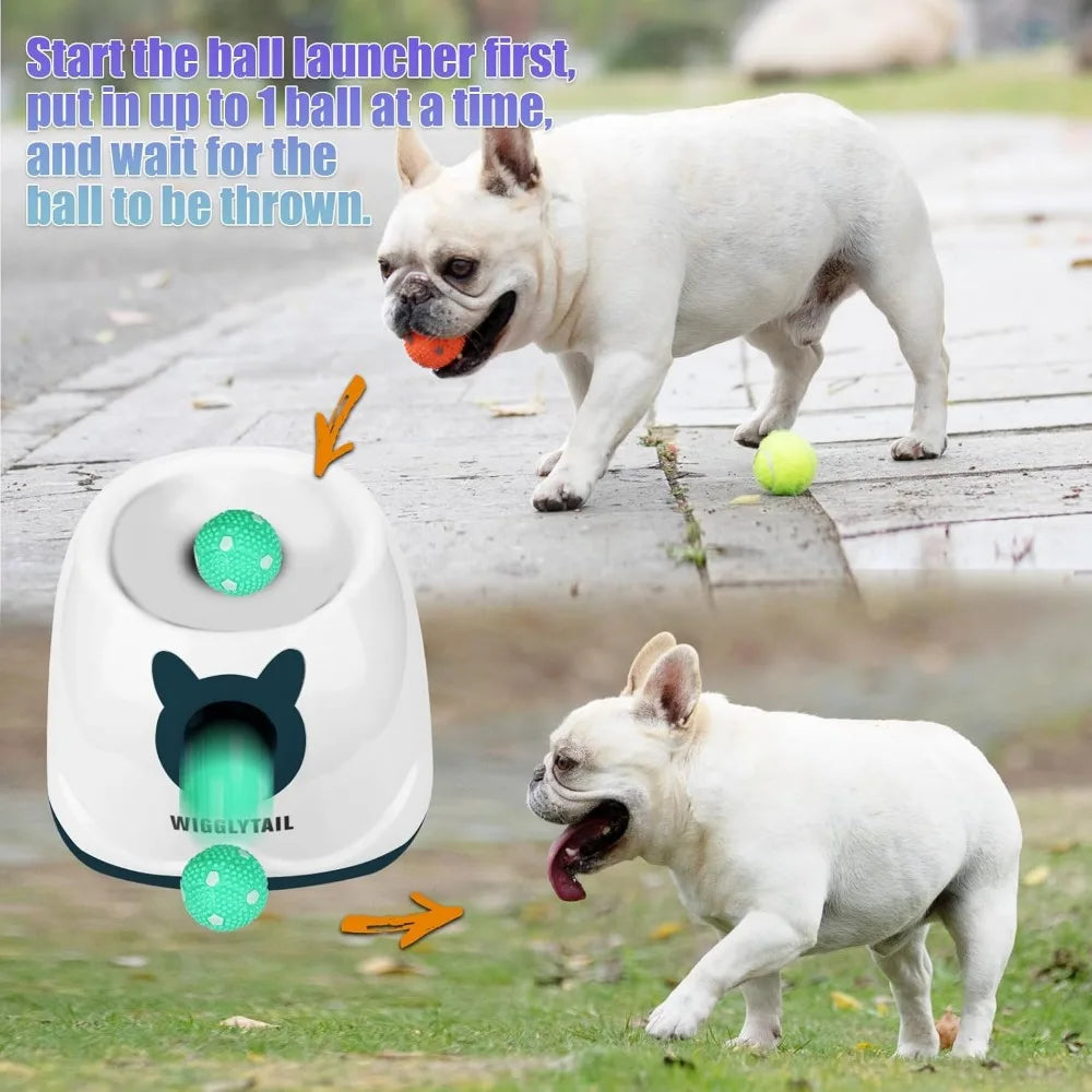 Automatic Dog Ball Launcher With 4 Adjustable Distances