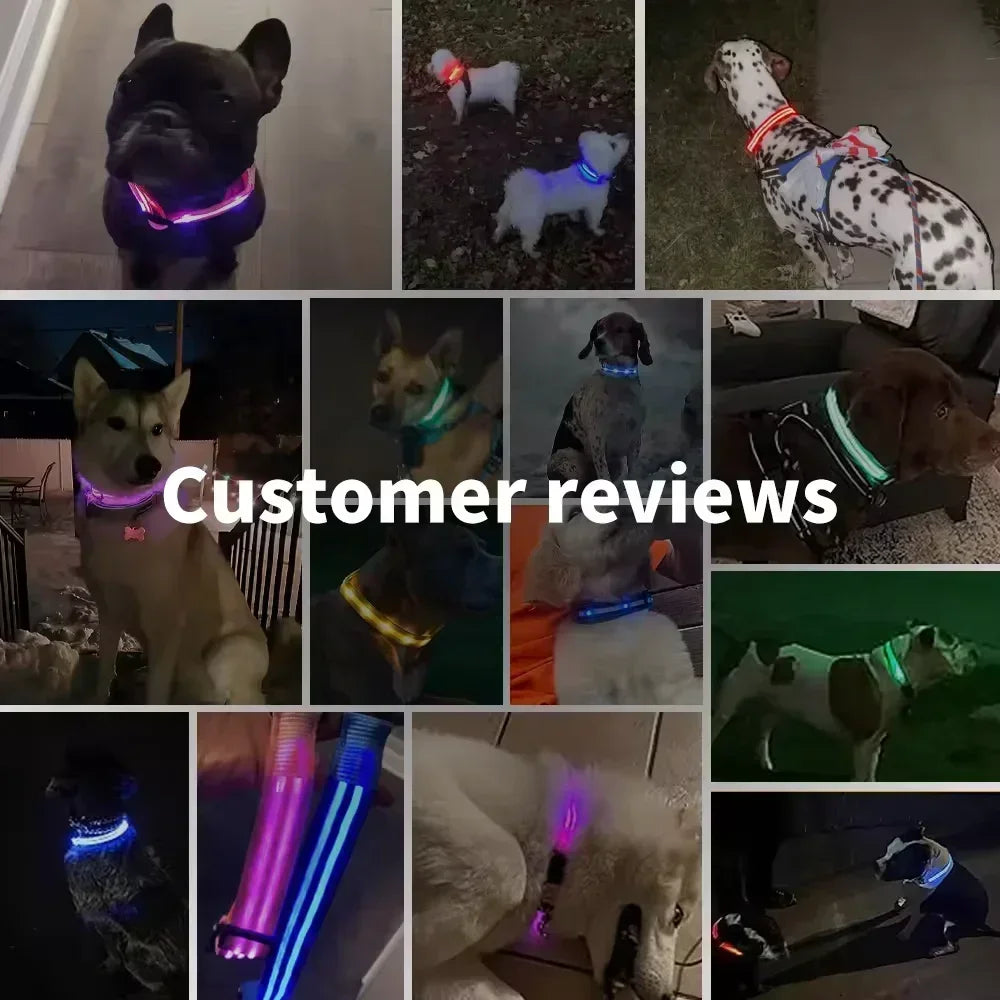YTYINCN LED Glowing Dog Collar Adjustable Flashing Rechargeable