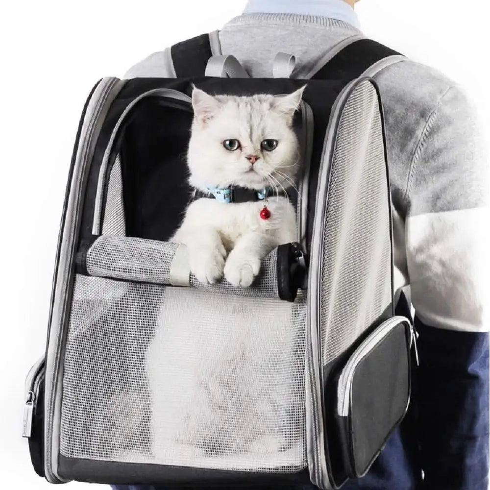 Innovative Traveler Bubble Backpack Pet Carrier For Cats And Dogs