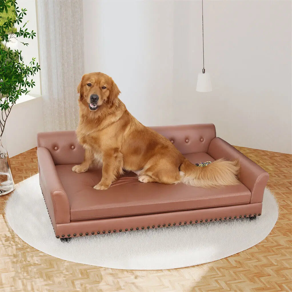 BINGOPAW Luxury Raised Dog Sofa Bed With Removable Cushion Cover
