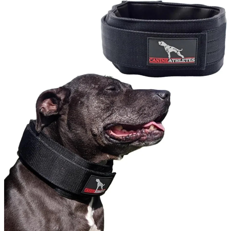 XMSJCN Elite HD Weighted Working Dog Collar For Training