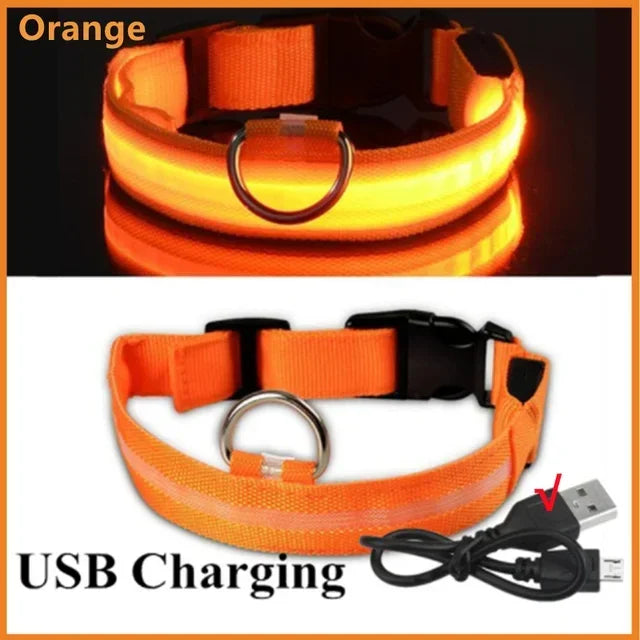 YTYINCN LED Glowing Dog Collar Adjustable Flashing Rechargeable