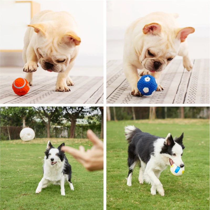 Holapet Squeaky Dog Ball Toy for Small and Large Dogs