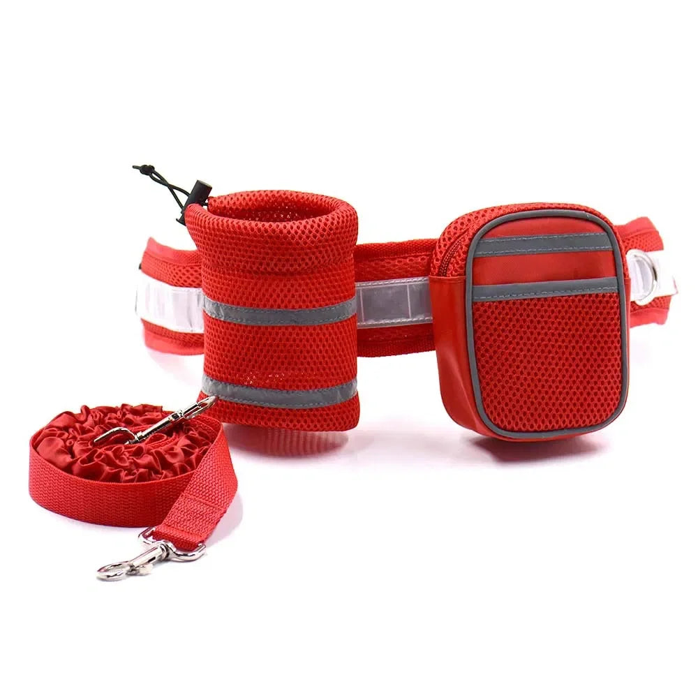 Reflective Dog Leash Set With Comfortable Handle And Durable Build