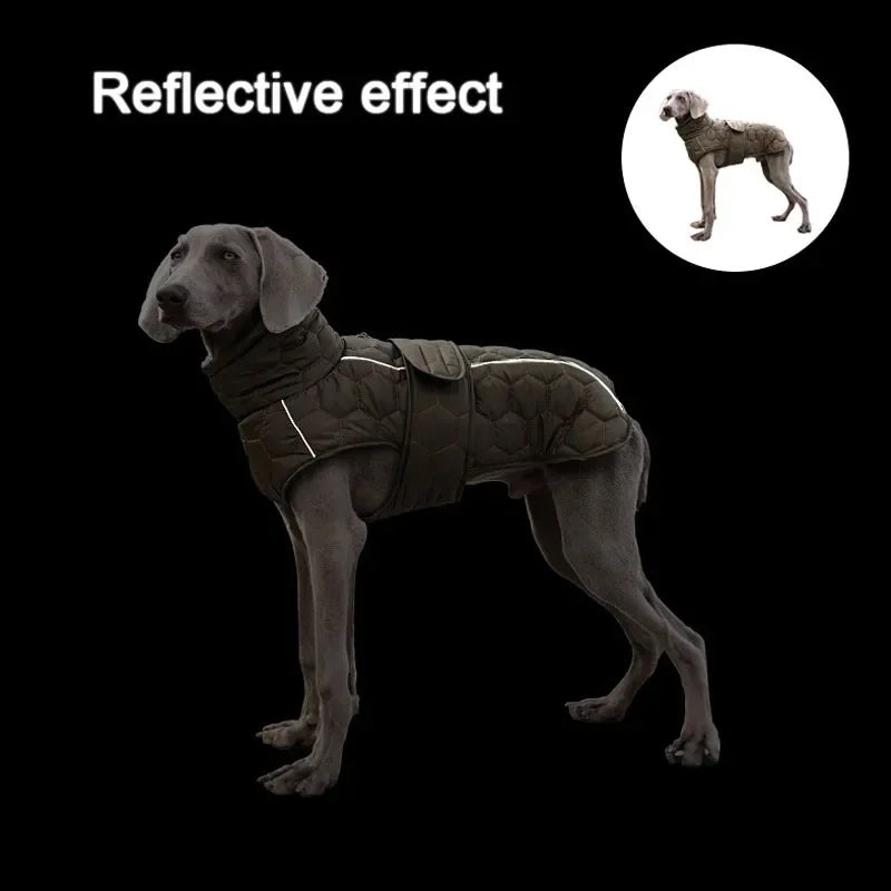 Miss Pet Winter Reflective Snow Suit for Large Breed Dogs