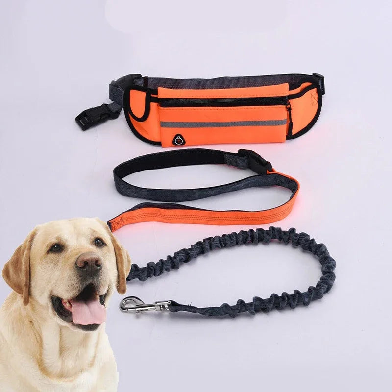 Hands Free Dog Leash With Reflective Waist Bag Retractable