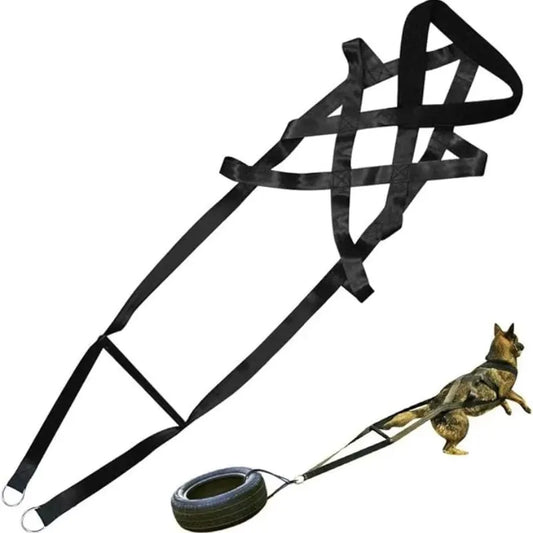 Dog Pull Training Leash Sled Safety Belt For Behavior Training