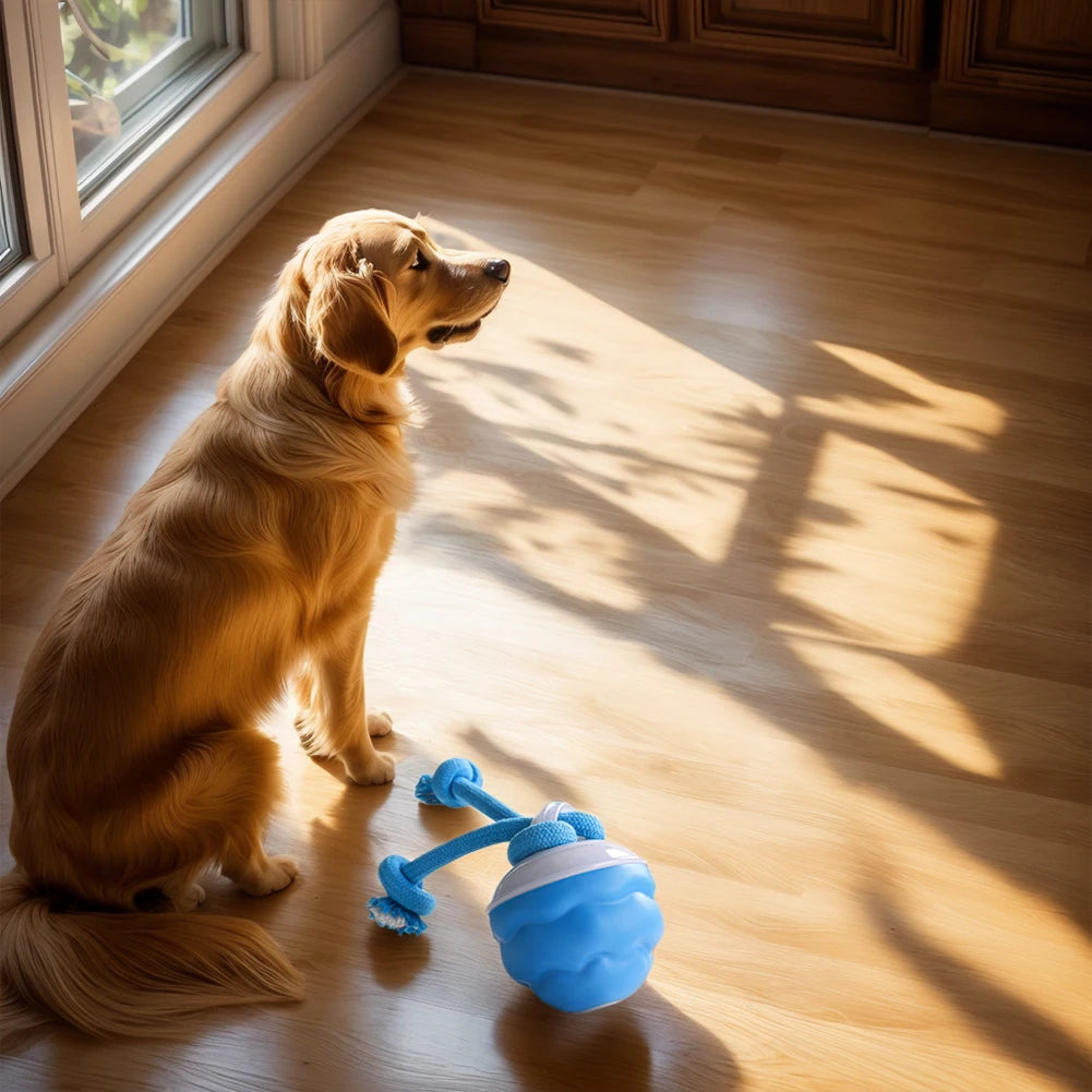 Electric Interactive Rolling Ball Dog Toy USB Rechargeable