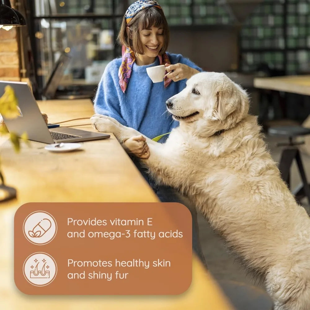 Olive Wood Chewing Sticks for Aggressive Chewers Training Toy