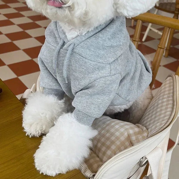 CN Sichuan Zhejiang Winter Hoodie for Dogs Fashion Plush Coat