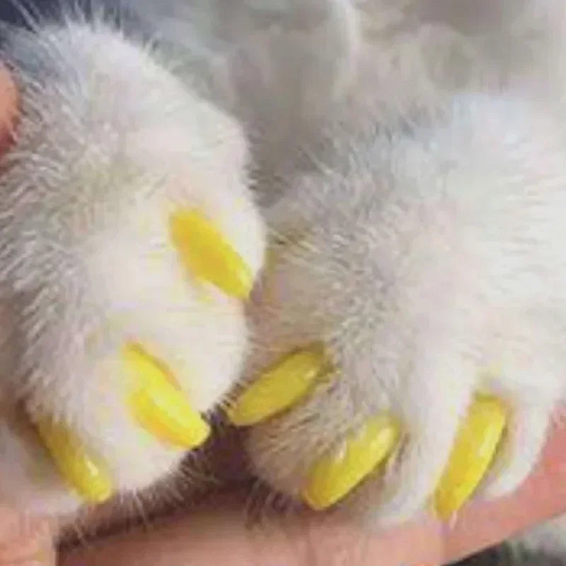 Soft Silicone Cat Nail Caps Kit With Adhesive Glue 20 Pcs