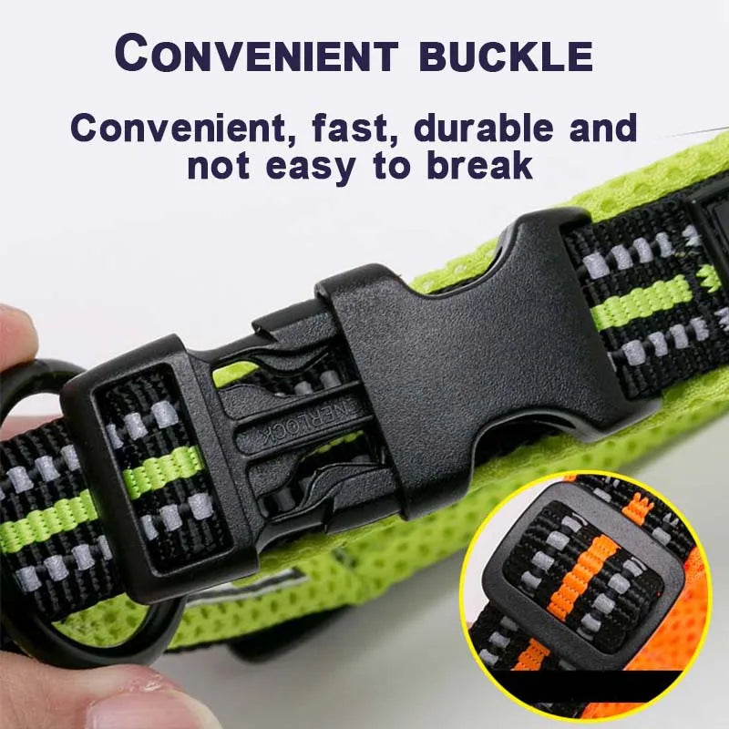 Winhyepet Dog Walking Collar Padded Comfort Nylon Durable Travel