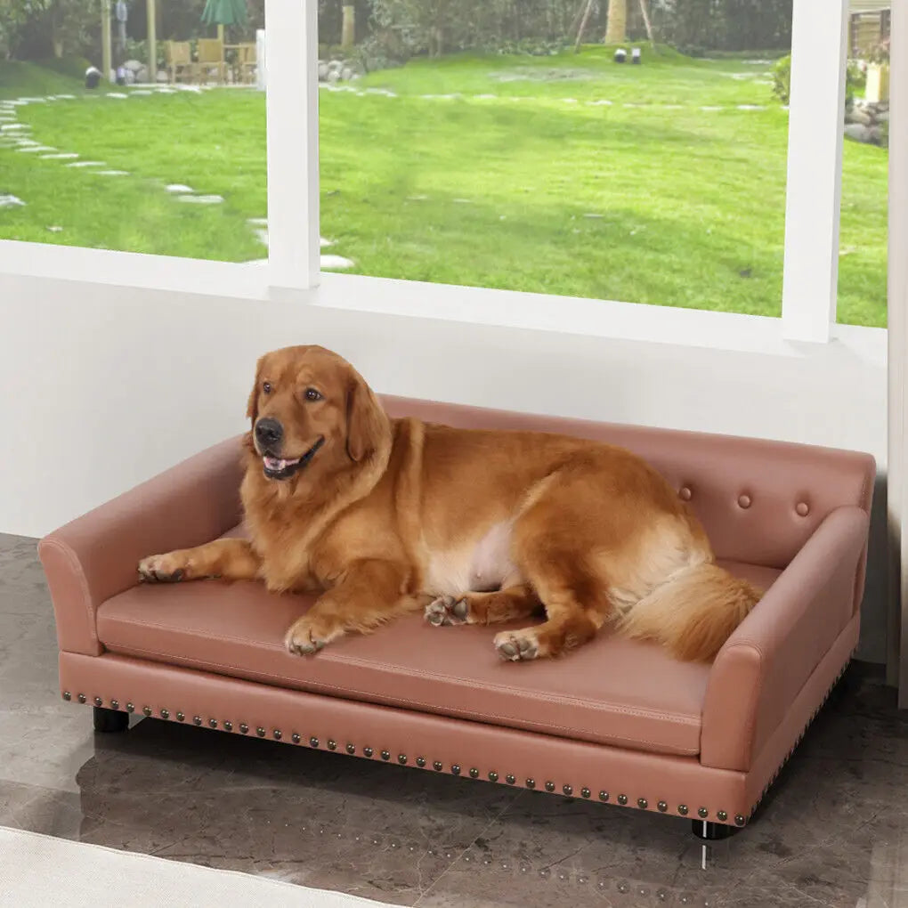 BINGOPAW Luxury Raised Dog Sofa Bed With Removable Cushion Cover