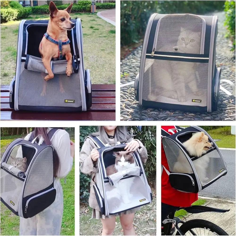 Innovative Traveler Bubble Backpack Pet Carrier For Cats And Dogs