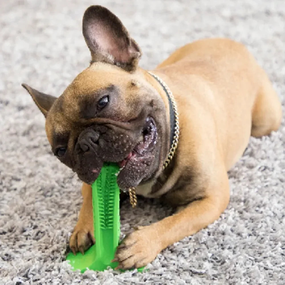 Silicone Pet Chewable Toothbrush For Large Breed Dogs