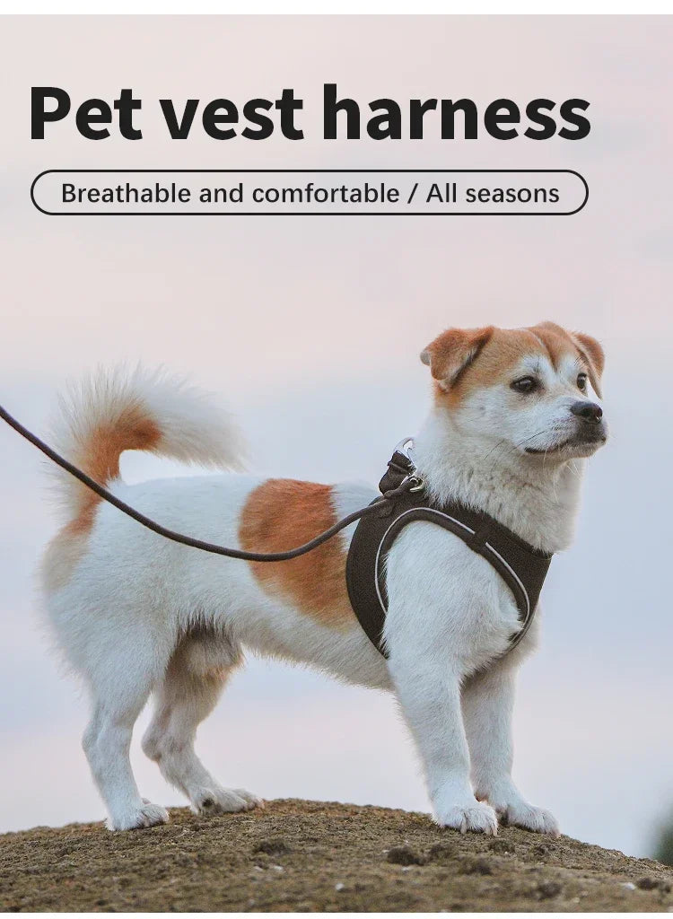 Small Combination Dog Harness Leash Set Reflective Adjustable Vest
