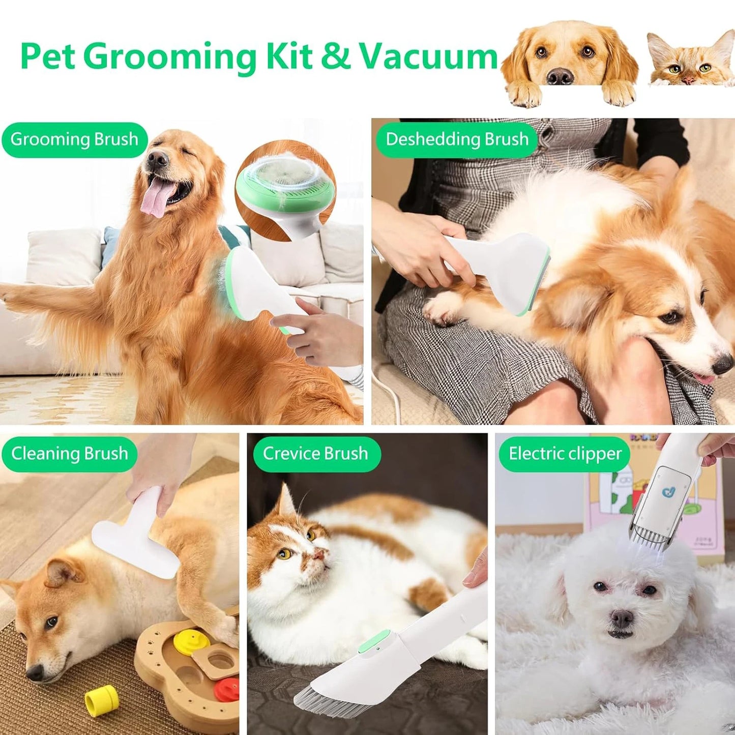 DishyKooker Pet Grooming Kit With 2L Vacuum And Tools
