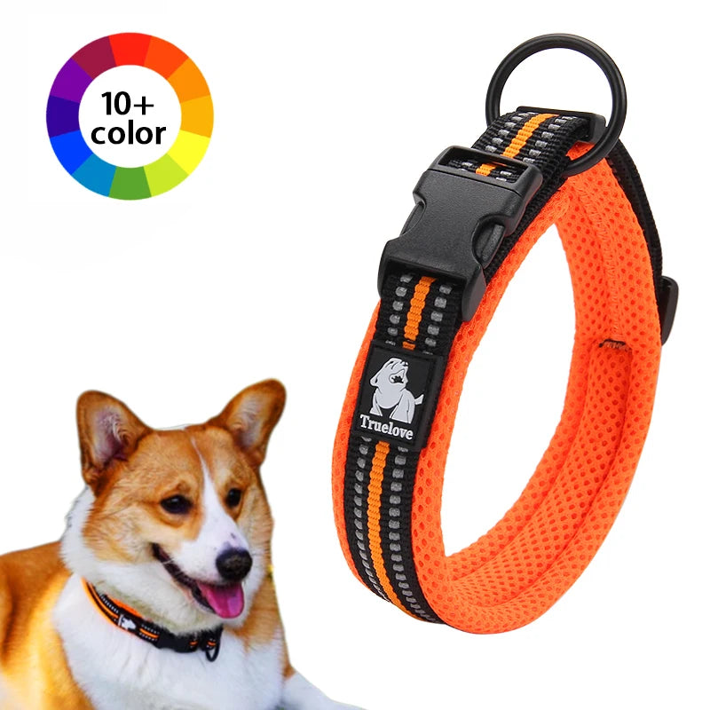 Winhyepet Dog Walking Collar Padded Comfort Nylon Durable Travel