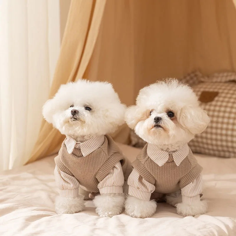 Plaid Bichon Frise Dog Dress Autumn Winter Teddy Style