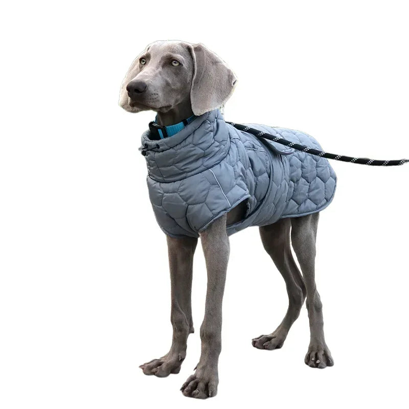 Miss Pet Winter Reflective Snow Suit for Large Breed Dogs