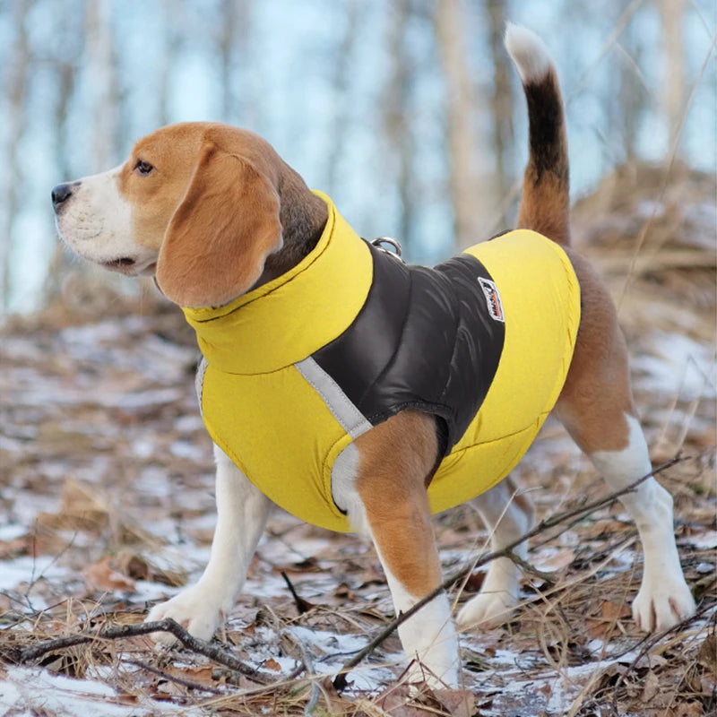Guangdong Padded Winter Dog Coat Waterproof Zipper Vest