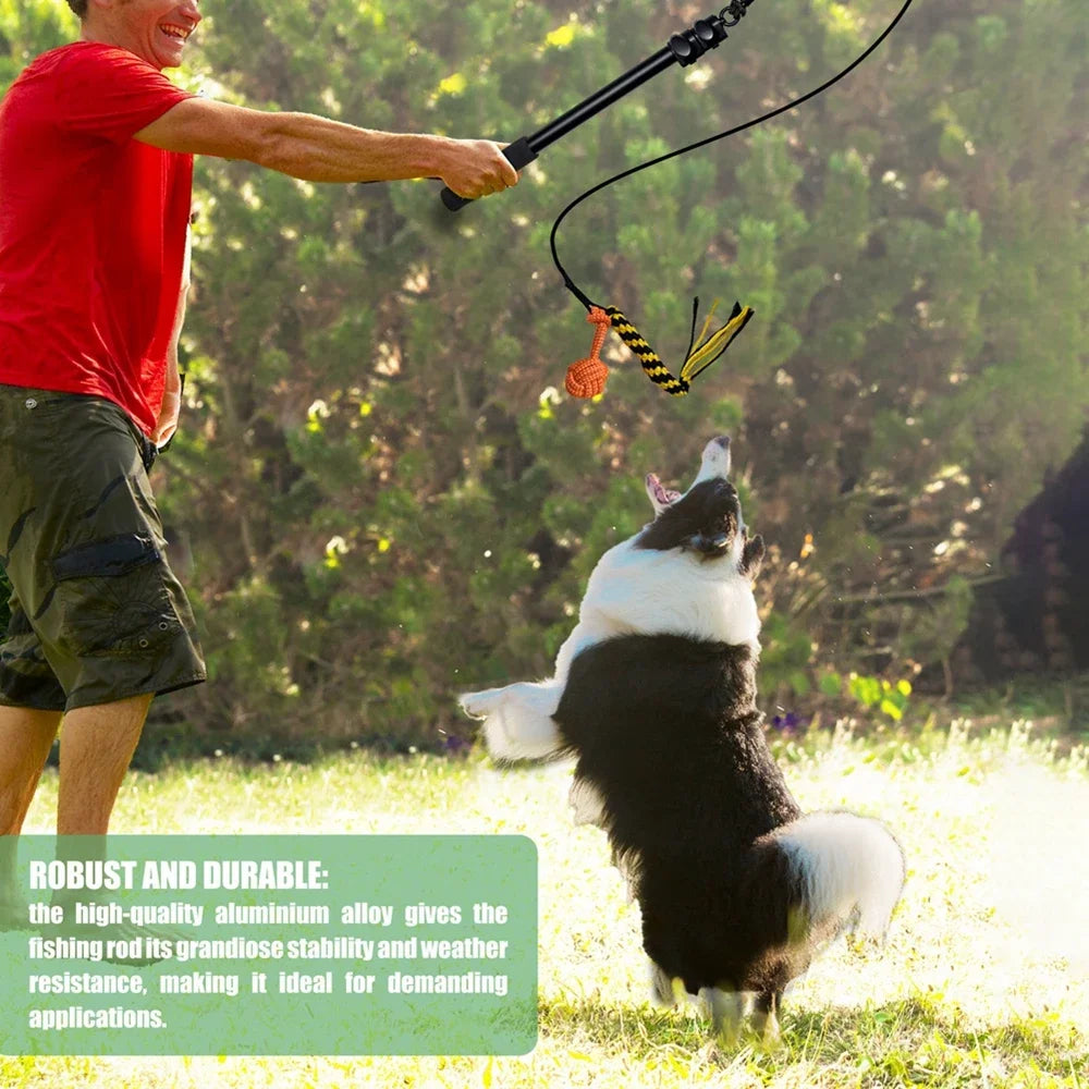Interactive Dog Toy Extendable Flirt Pole For Dogs Outdoor Training