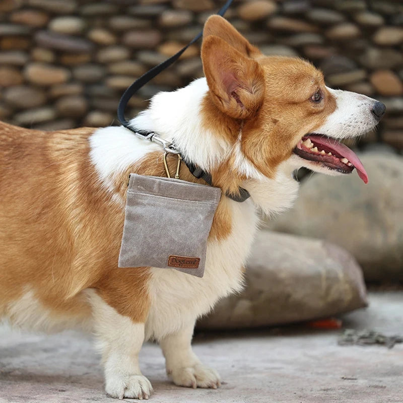 Dog Training Treat Pouch Portable Outdoor Snack Bag Oil Resistant