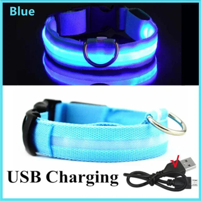 YTYINCN LED Glowing Dog Collar Adjustable Flashing Rechargeable