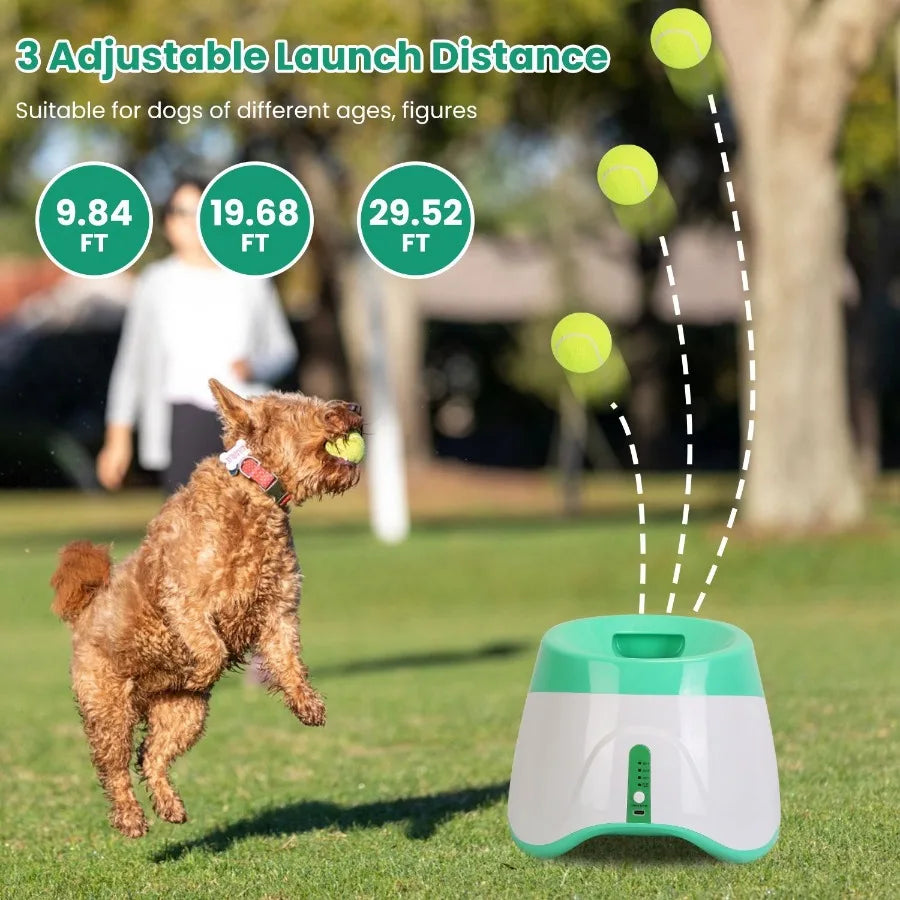 Automatic Dog Ball Launcher With 6 Tennis Balls For Fetch