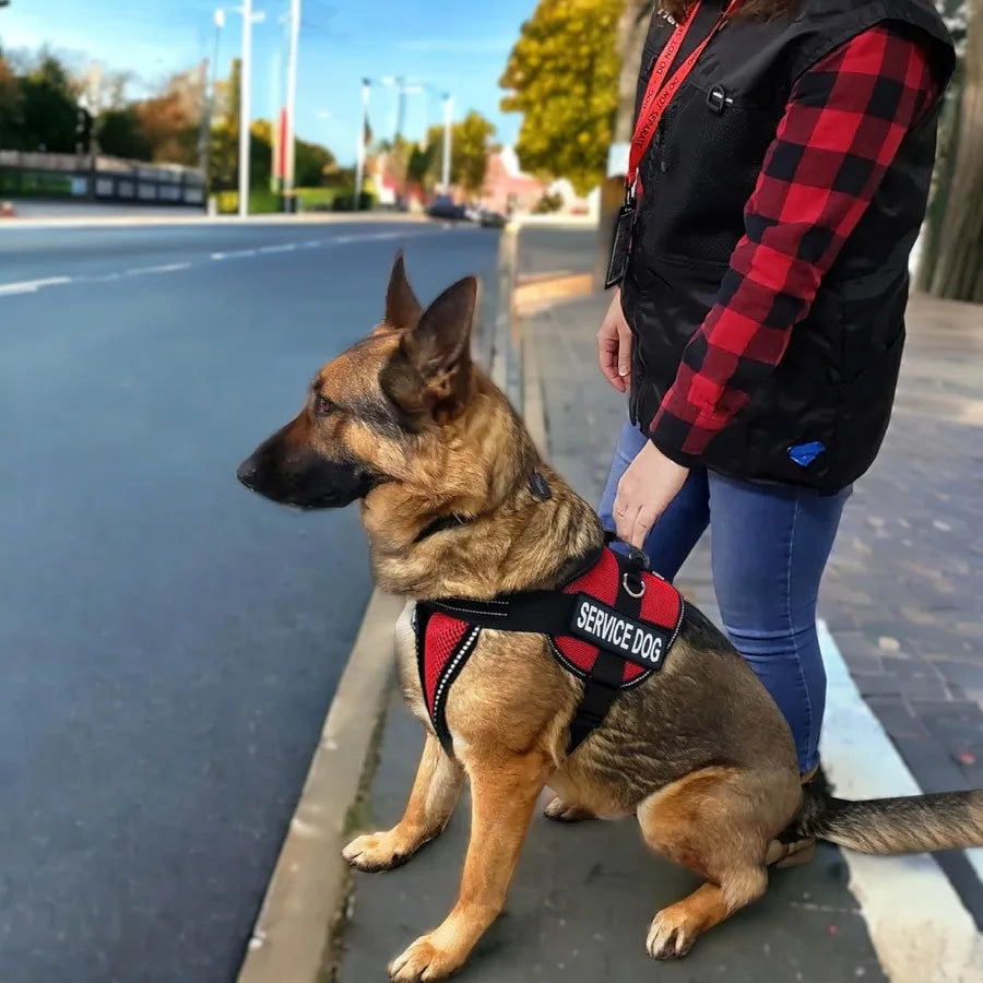 XMSJ ActiveDogs Full Service Dog Kit Vest Harness