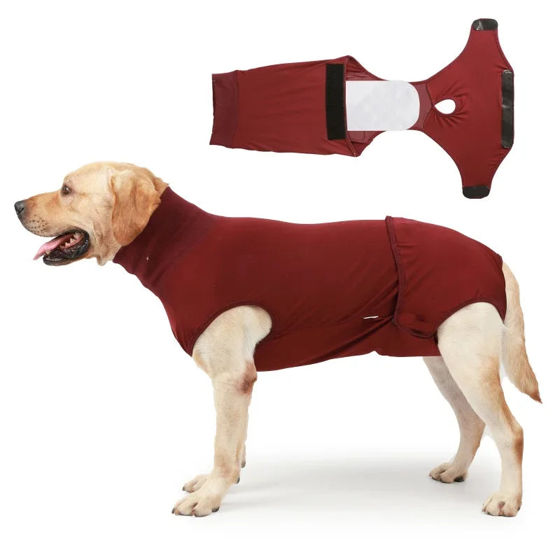 NONECN Recovery Suit for Dogs and Cats After Surgery