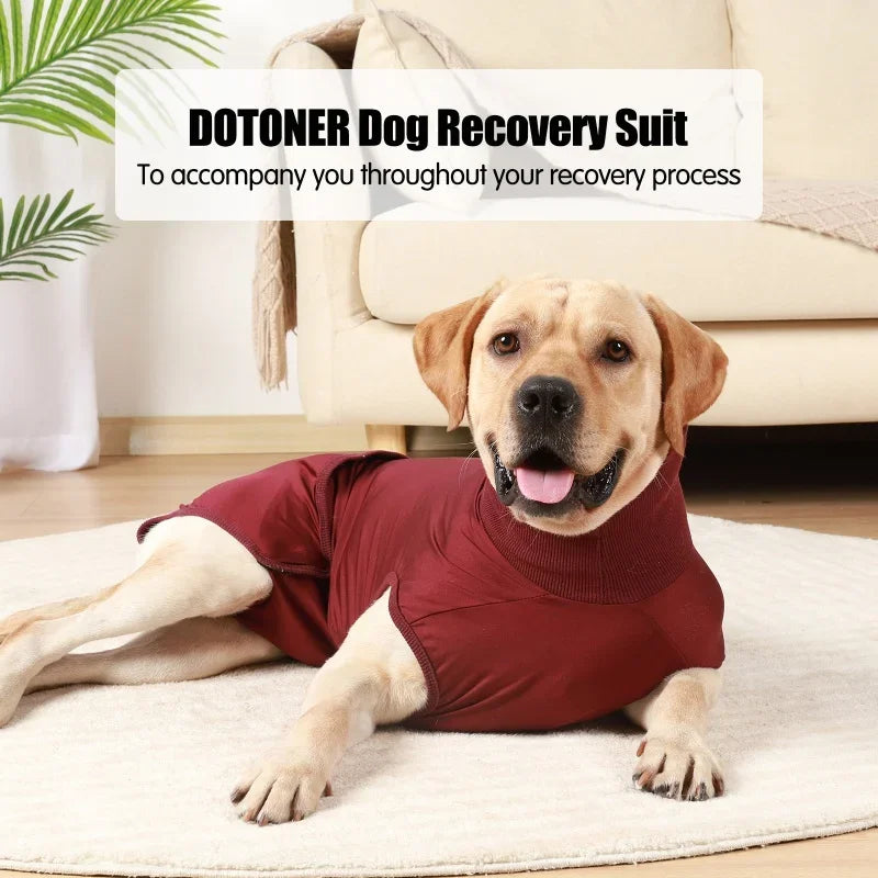 NONECN Recovery Suit for Dogs and Cats After Surgery