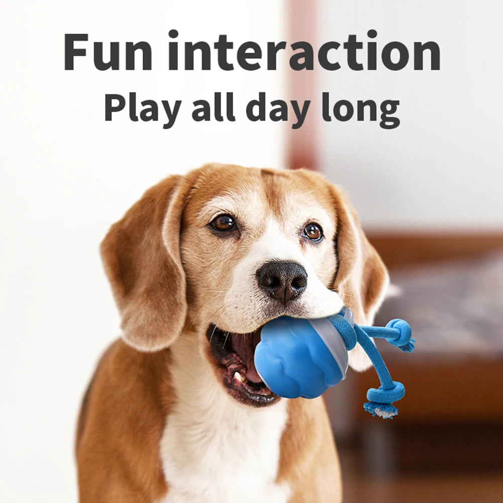 Electric Interactive Rolling Ball Dog Toy USB Rechargeable