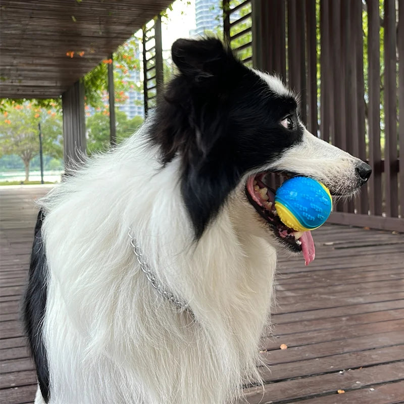 Squeaky Dog Ball Toy TPR Interactive High Bounce For Dogs