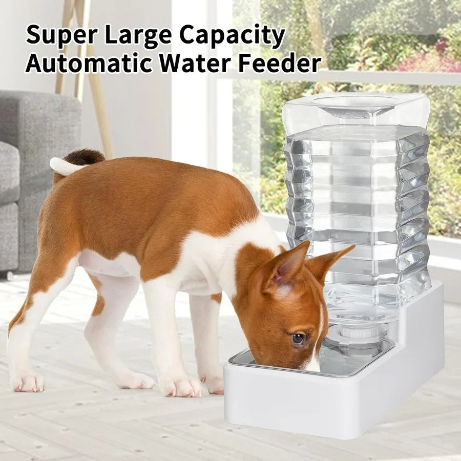 Hign-Concerned Automatic Pet Water Dispenser With Large Capacity Bowl